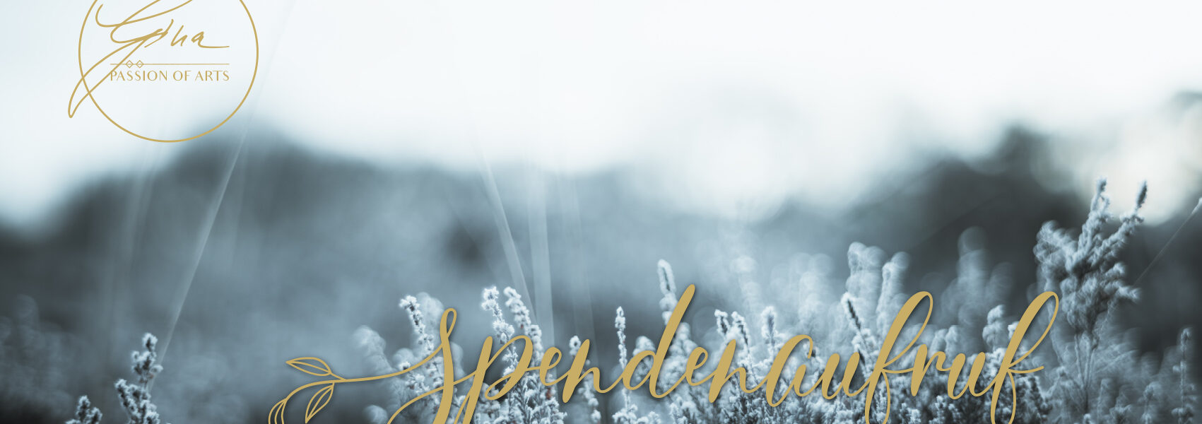 Passion of Arts Spendenaufruf