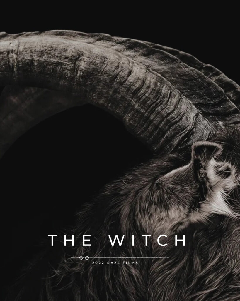Passion-of-Arts-The Witch-Filmkritik