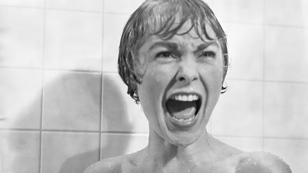 Der rasante Aufstieg für den Horrorfilm: Ein Hauch Historie: Eine Frau steht in der Dusche und schreit vor Entsetzen. Man sieht nur frontal ihr Gesicht dabei