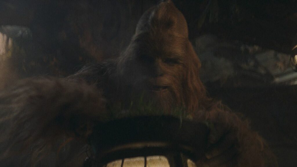 The Acolyte Folge 4: Das Bild zeigt den Wookiee Kelnacca wie er sich etwas kocht.