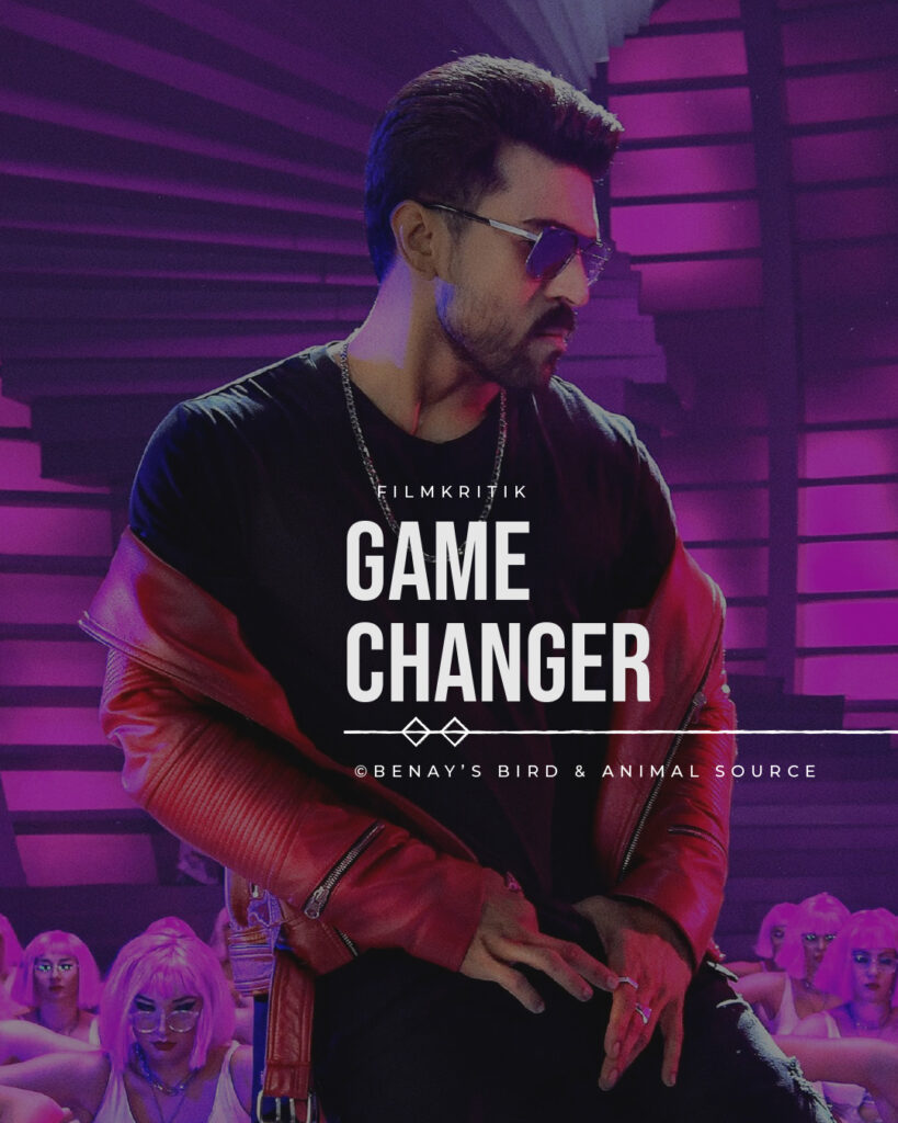 Passion of Arts Game Changer Filmkritik