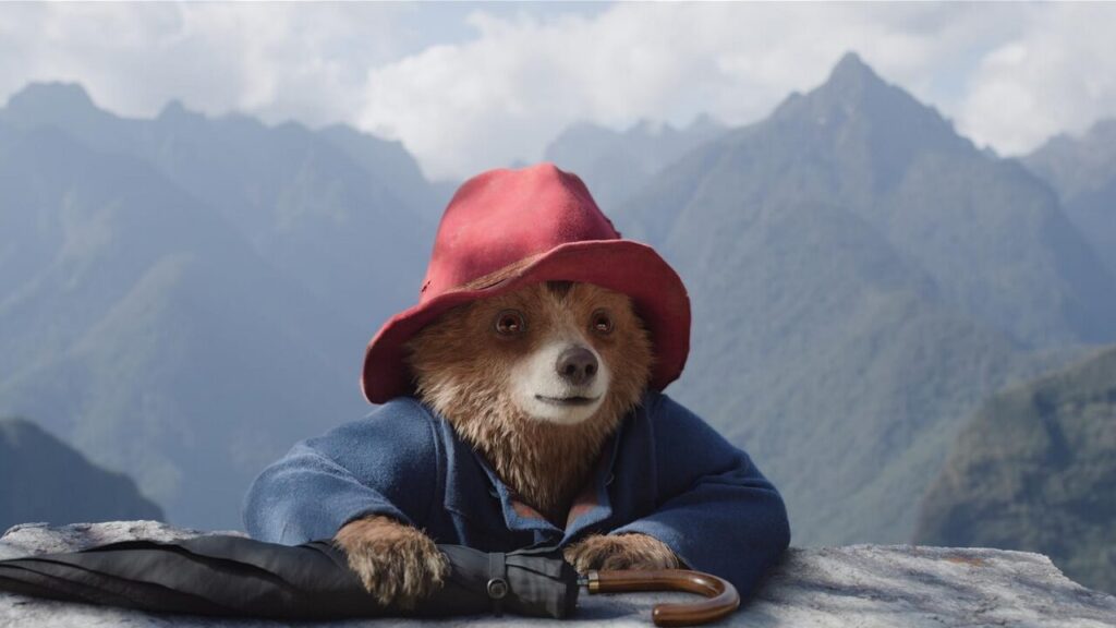 Paddington schaut über den Rand einer Felsklippe. | Paddington in Peru