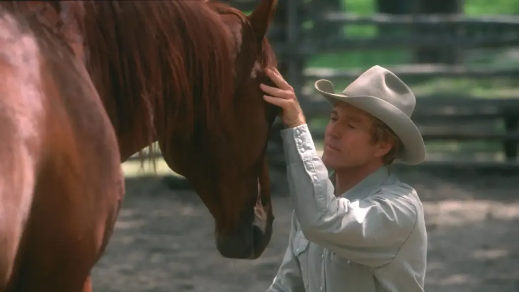 Das Bild zeigt Robert Redford als Tom Booker in "Der Pferdeflüsterer" | Media Monday #729