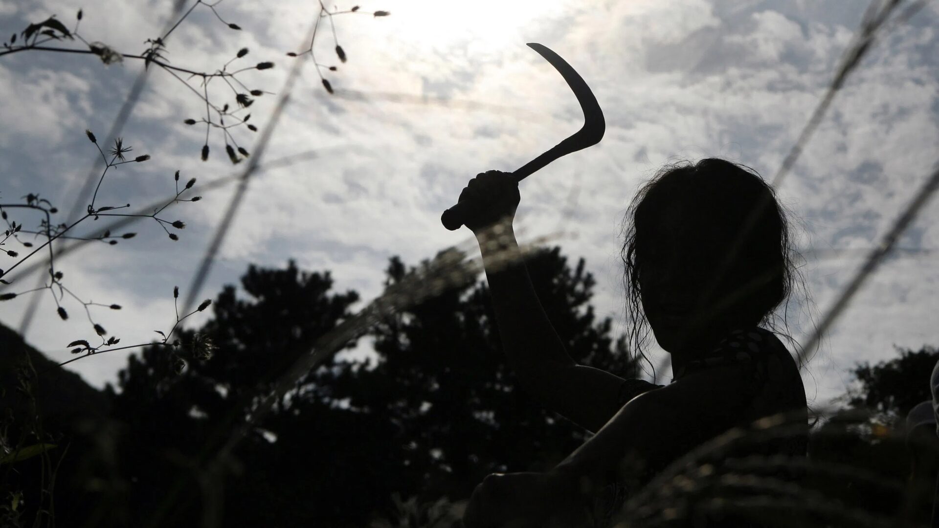 Eine Frau im Schatten schwingt eine Sichel | Die 5 besten Filme aus Südkorea