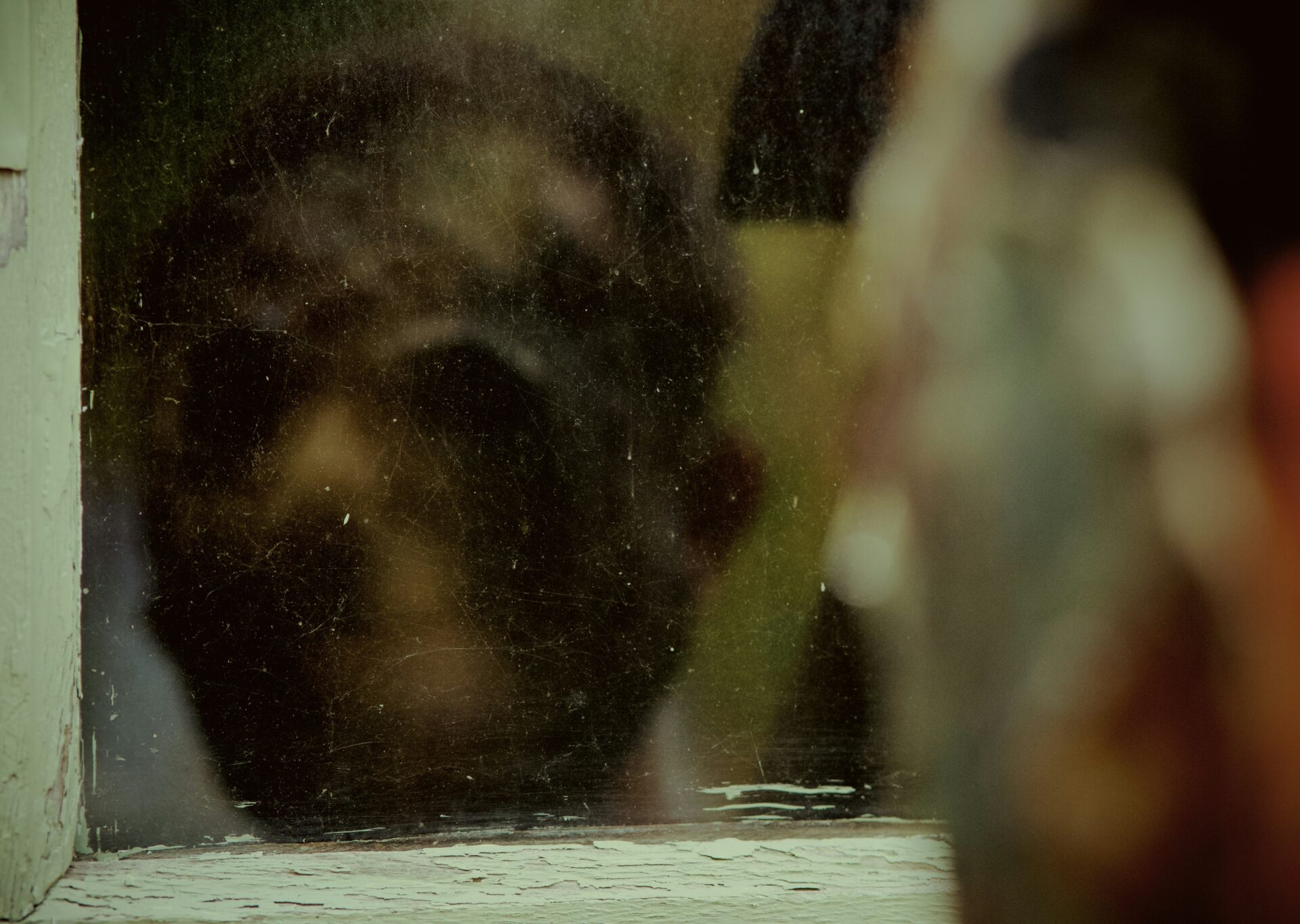 Verschwommene Spiegelung eines menschlichen Kopfes auf einer verkratzten Glasoberfläche, vermutlich ein Fenster oder Spiegel. Die Person steht mit dem Rücken zur Kamera und blickt in das reflektierende Glas. Das Licht ist gedämpft, wodurch eine melancholische, nachdenkliche Stimmung entsteht. Rechts im Bild ist ein unscharfer Umriss eines weiteren Objekts oder Menschen zu erkennen, der die Szene geheimnisvoll ergänzt. | Media Monday #744