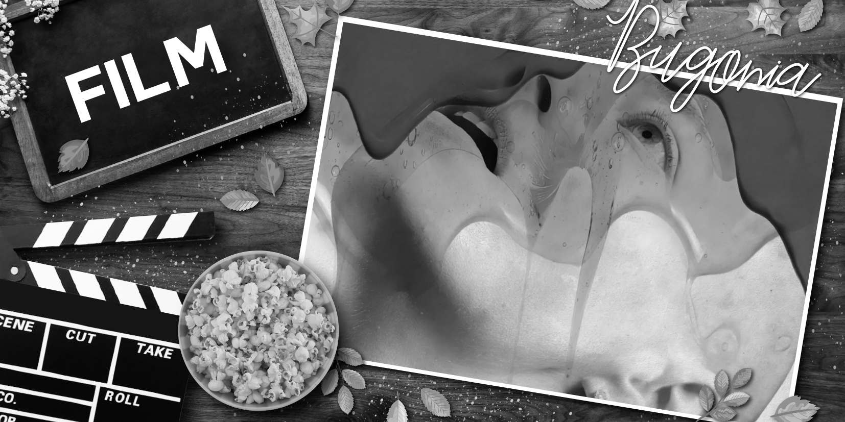 Das Bild ist das Titelbild zur "Bugonia" Filmkritik