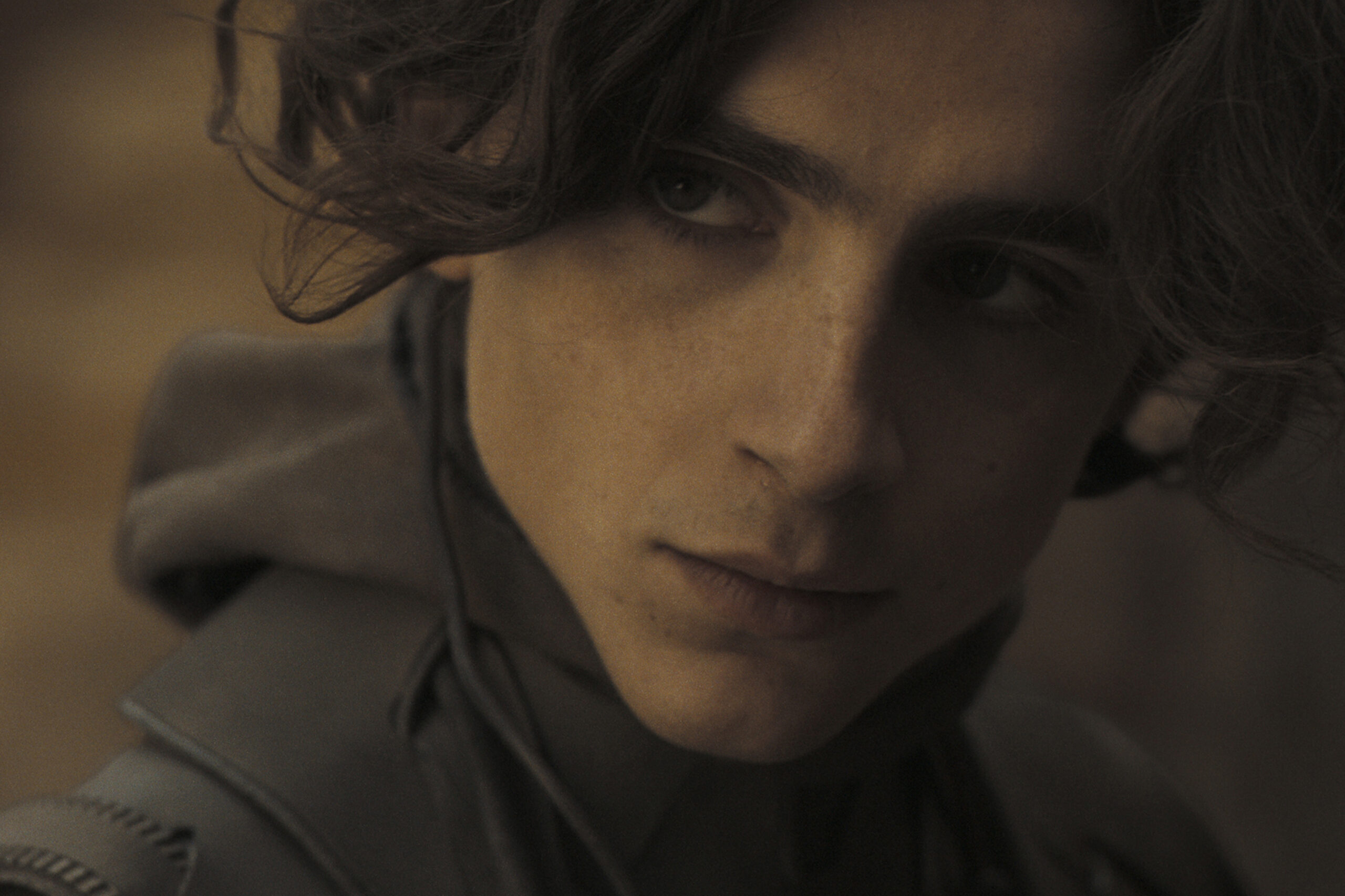 Das Bild zeigt Timothée Chalamet als Paul Atreides in der Literaturverfilmung "Dune" | Media Monday #762