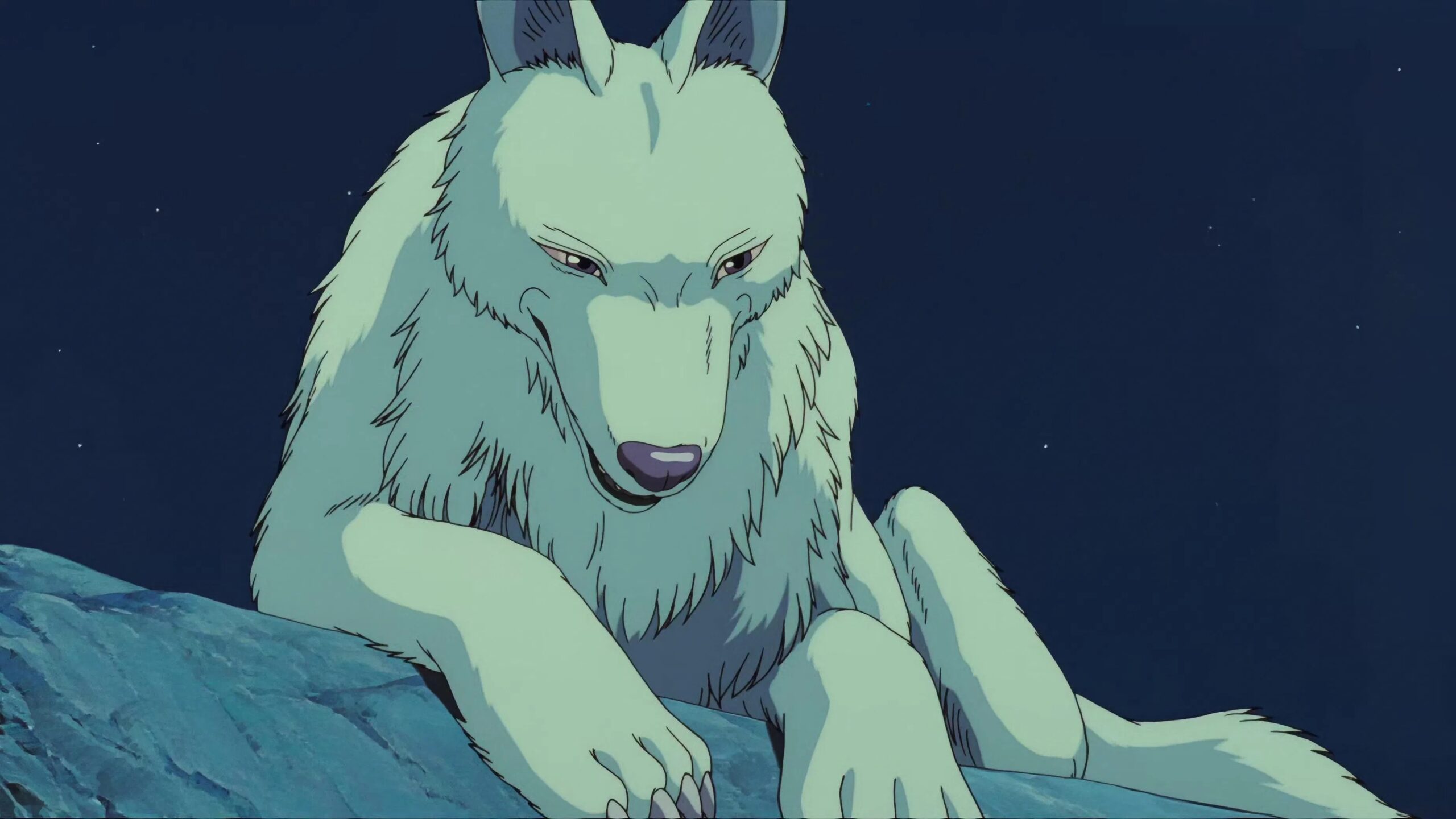 Ein großer Wolf liegt auf einem Felsen vor einem Sternenhimmel