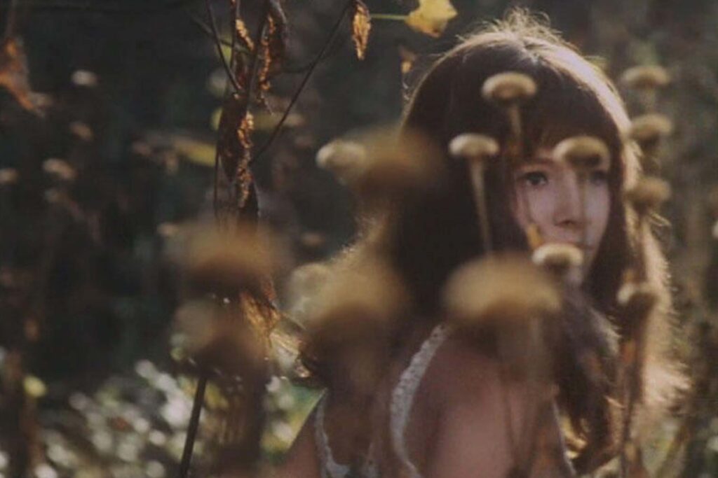 Valerie (Jaroslava Schallerová) aus Valerie – Eine Woche voller Wunder, verträumt im warmen Sonnenlicht zwischen hohen Pflanzen. | Media Monday #774