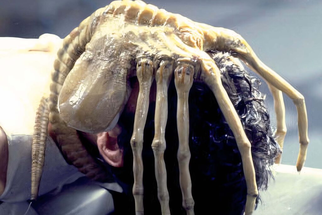 Das Bild zeigt den Facehugger aus Alien: Das unheimliche Wesen aus einer fremden Welt, der Besitz von einem Besatzungsmitglied genommen hat und sich auf dessen Gesicht platziert hat | Die 5 liebsten Aliens