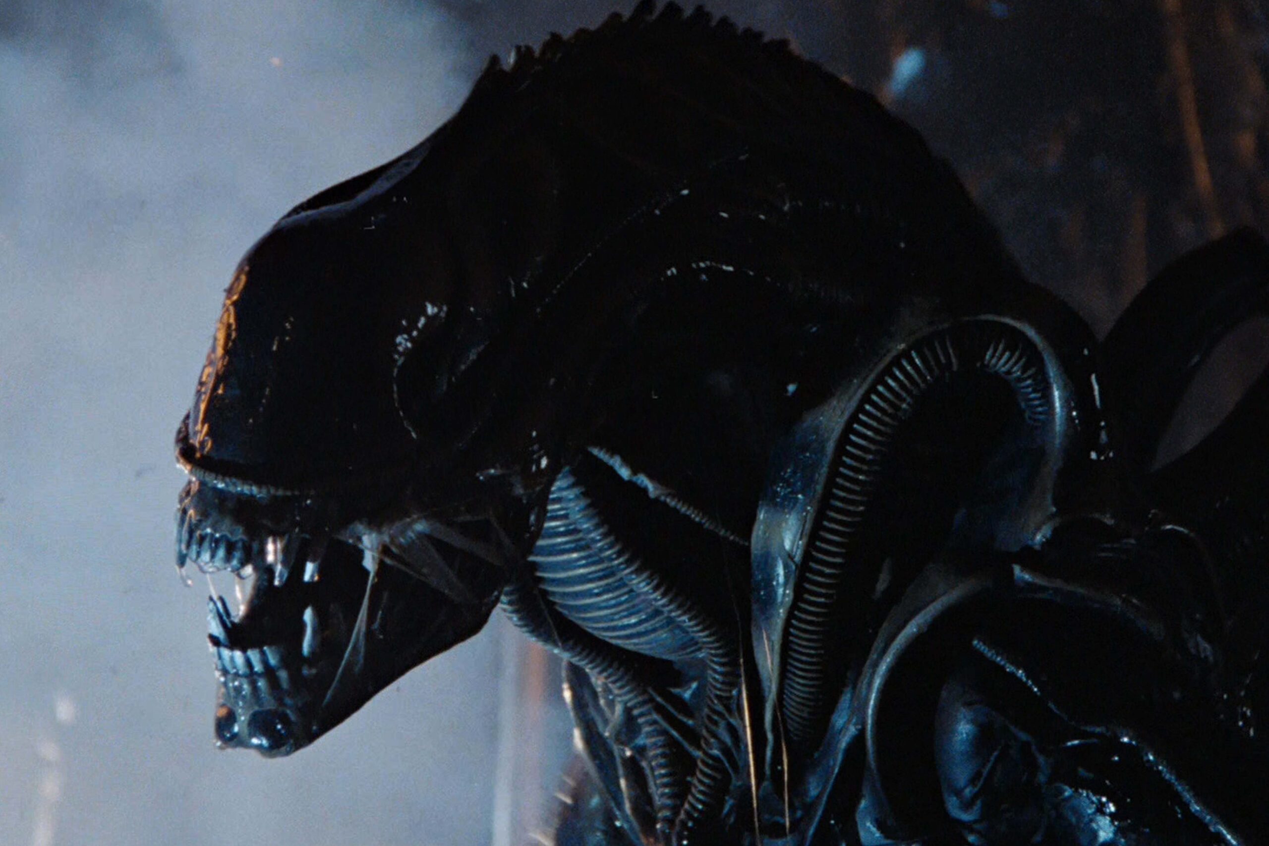 Das Bild zeigt den Xenomorph aus Alien: Das unheimliche Wesen aus einer fremden Welt in seiner vollen Größe | Die 5 liebsten Aliens