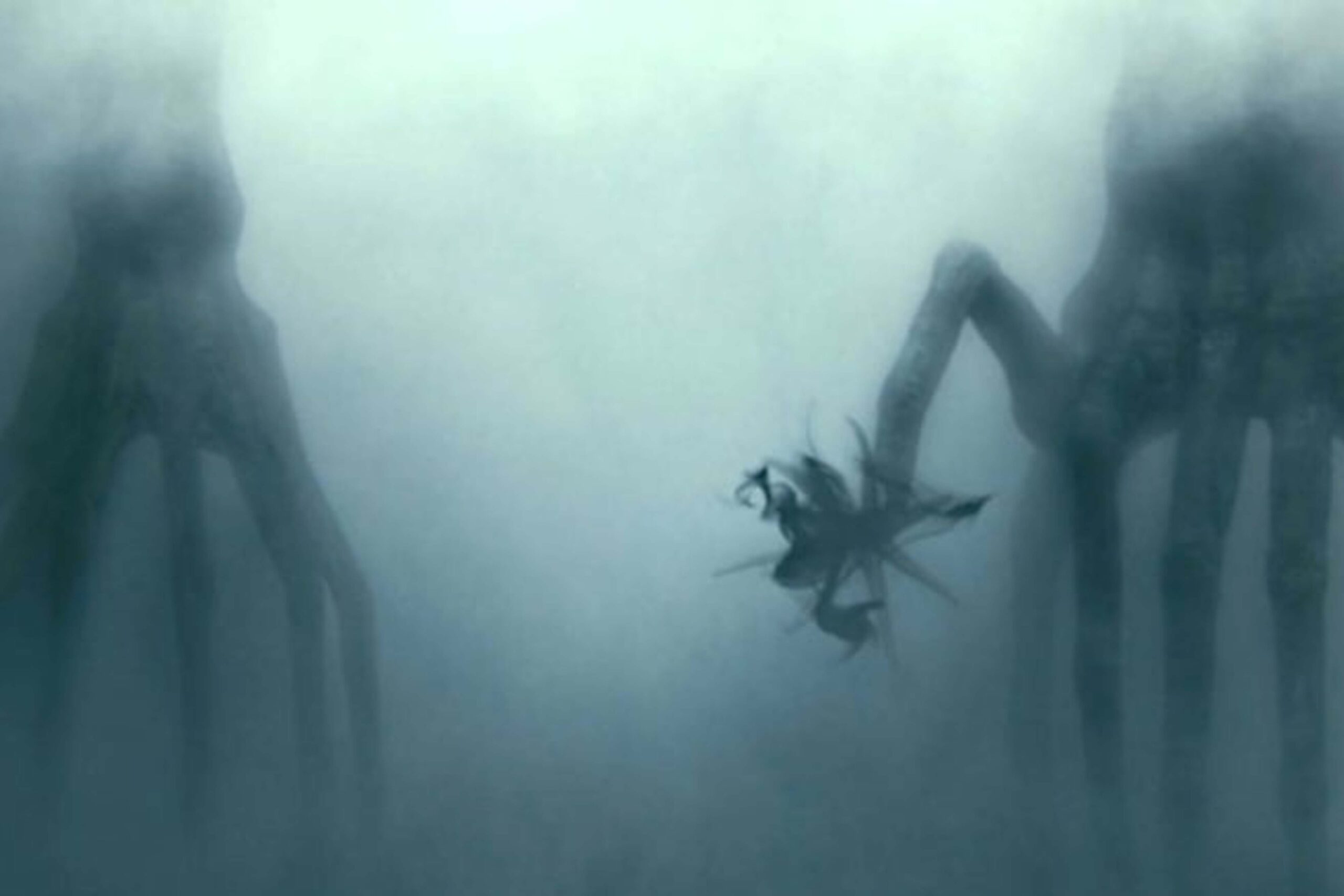 Zwei Heptapoden aus Arrival (2016) stehen im dichten Nebel. Ihre langen, tentakelartigen Gliedmaßen ragen schlank nach unten, während zwischen ihnen ein kleineres, stacheliges Objekt schwebt. Die Szene wirkt geheimnisvoll und außerweltlich, da der Nebel die Formen nur schemenhaft erkennen lässt. | Die 5 kreativsten außerirdischen Wesen