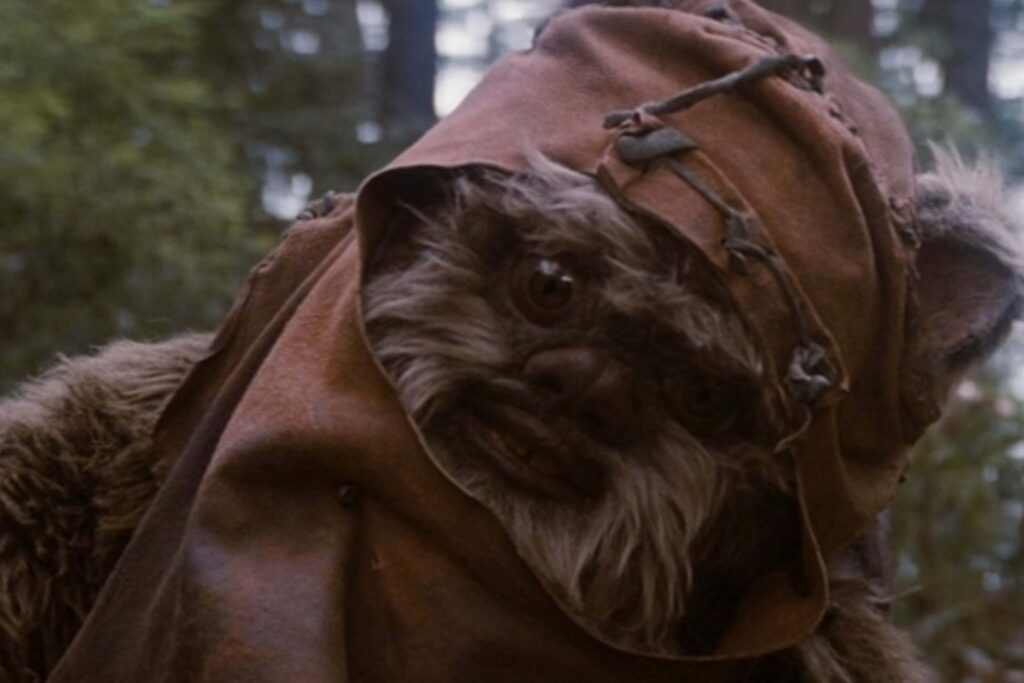 Das Bild zeigt den Ewok Wicket Wystri Warrick aus dem Film Star Wars: Episode VI - Die Rückkehr der Jedi-Ritter | Die 5 liebsten Aliens