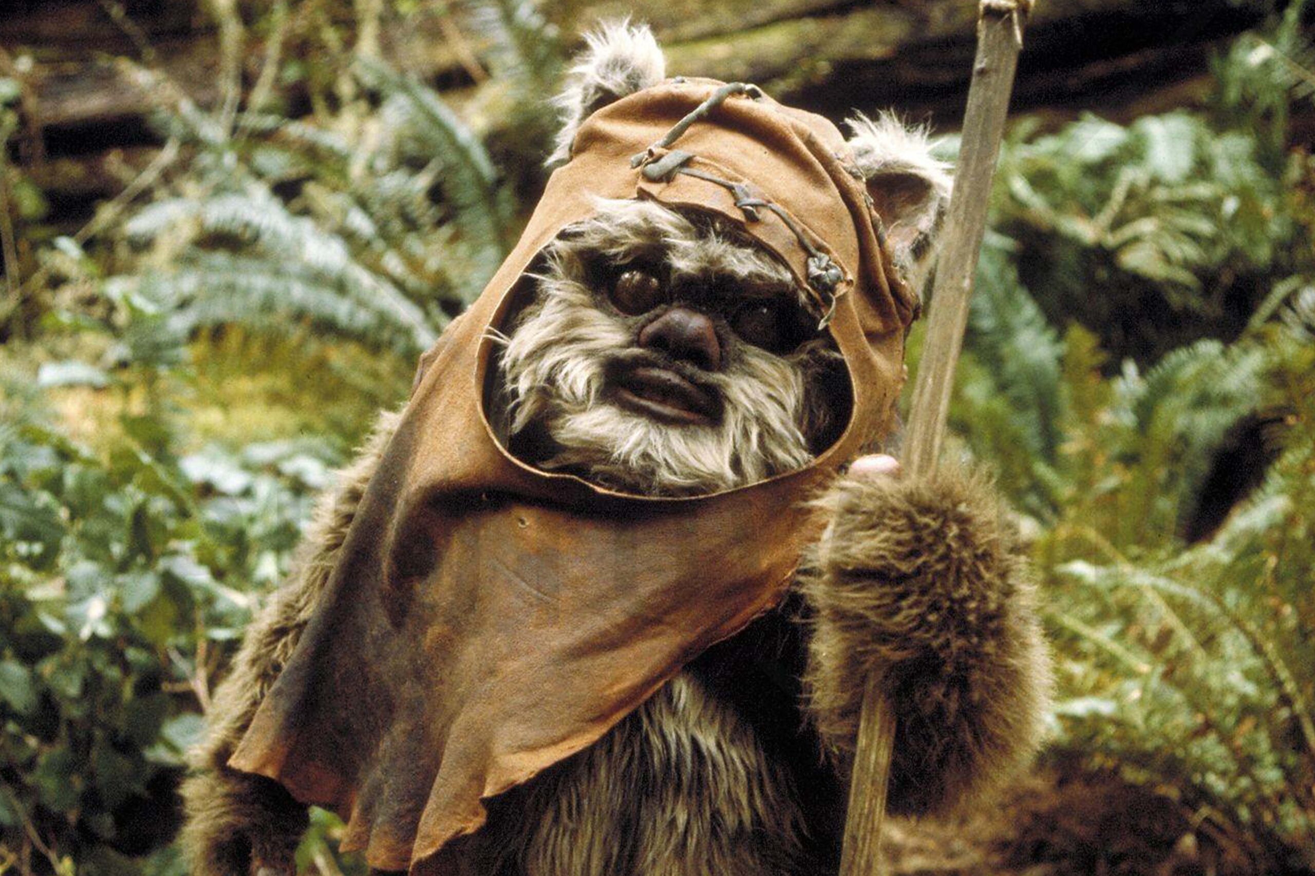 Das Bild zeigt den Ewok Wicket Wystri Warrick aus dem Film Star Wars: Episode VI - Die Rückkehr der Jedi-Ritter | Die 5 liebsten Aliens