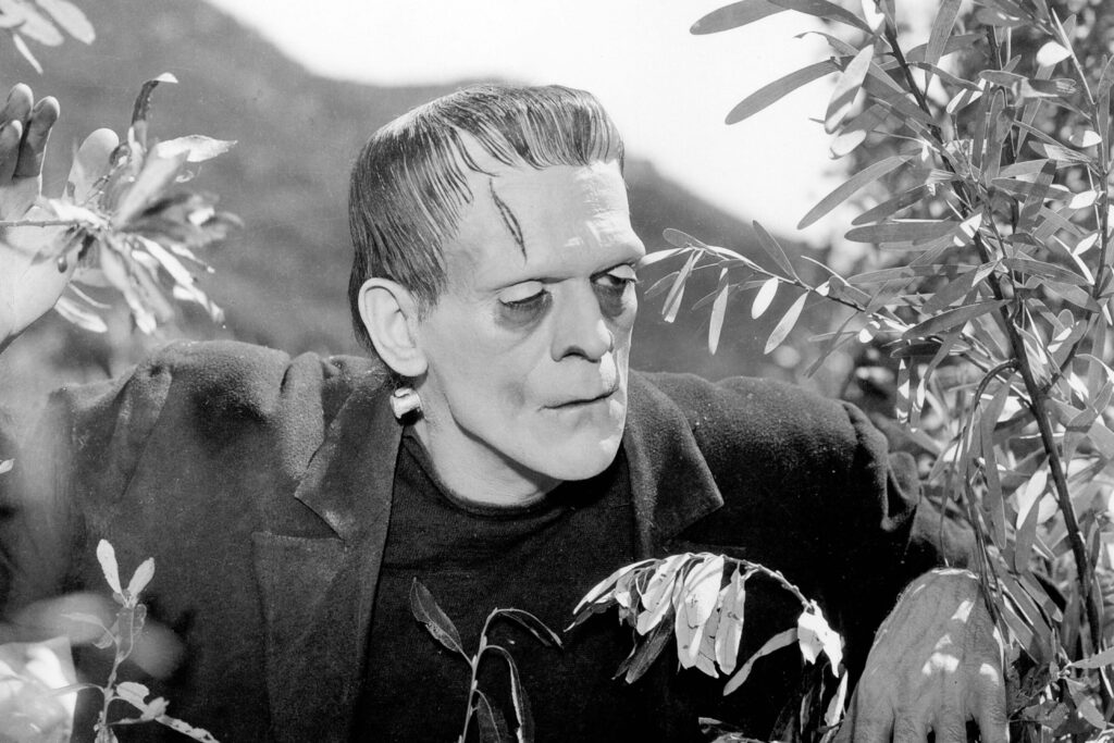 Schwarzweißfoto von Frankensteins Monster, dargestellt von Boris Karloff, aus dem Film Frankenstein (1931). Die ikonische Figur steht zwischen dichtem Blattwerk, mit flachem Kopf, schweren Lidern und den typischen Halsbolzen. Der Hintergrund zeigt eine unscharfe, natürliche Landschaft mit Hügeln. | Themenübersicht August 2026