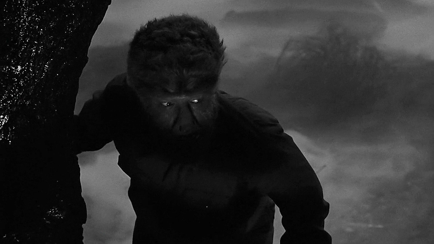 Der Wolf Mann versteckt sich im Wald zwischen Nebel und Dunkelheit | Die 5 besten klassischen Horrorfilme
